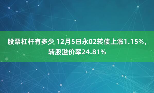 股票杠杆有多少 12月5日永02转债上涨1.15%，转股溢价率24.81%