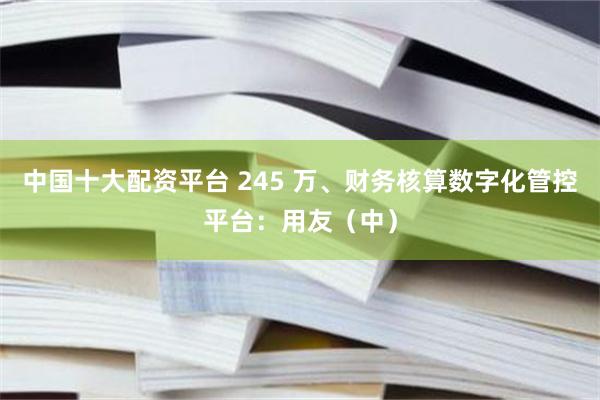 中国十大配资平台 245 万、财务核算数字化管控平台：用友（中）