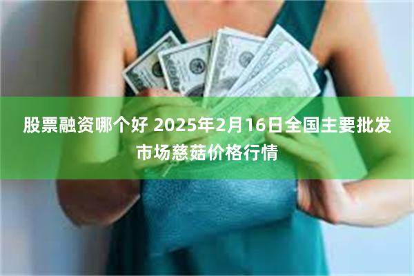 股票融资哪个好 2025年2月16日全国主要批发市场慈菇价格行情